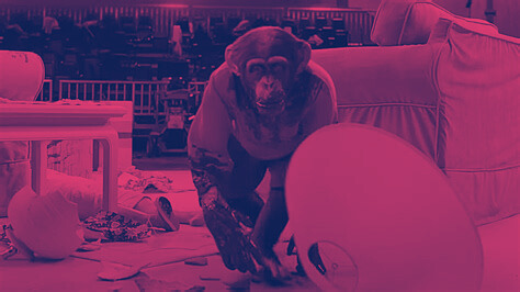 Nope (2022) dir. Jordan&nbsp;Peele